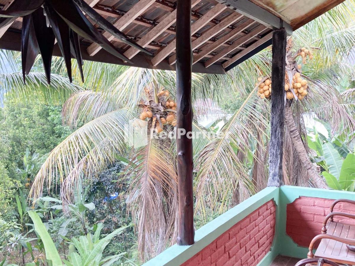 Taman Ayu Homestay Munduk Mitra Reddoorz Eksteriør billede