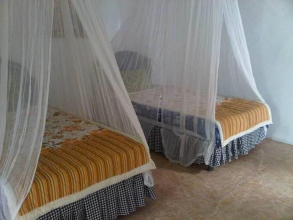 Taman Ayu Homestay Munduk Mitra Reddoorz Eksteriør billede